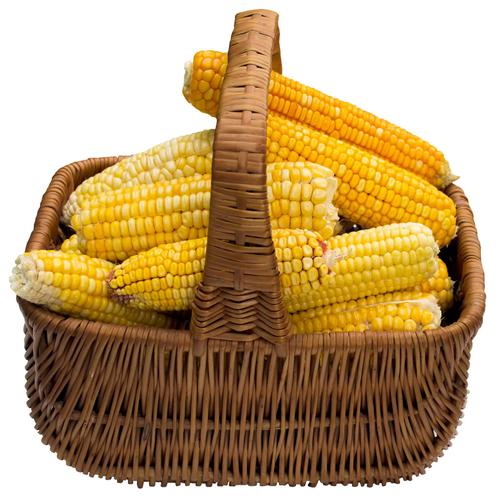 玉米,谷物,白色,篮子,玉米棒子,夏天,玉米棒,特写,隔绝,农产品,无人